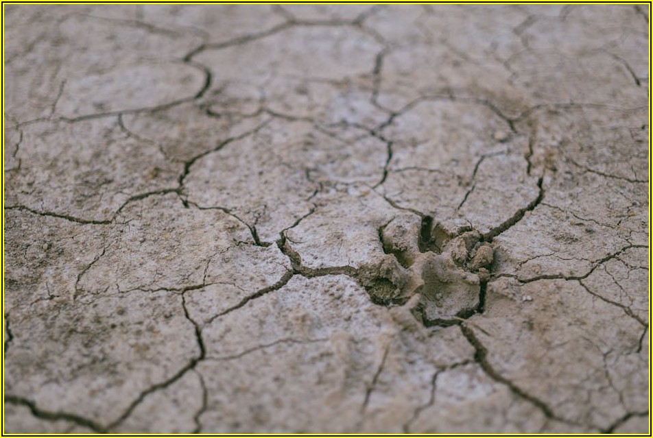 알면 도움되는 토지조서, 토지 소유 정보 총정리