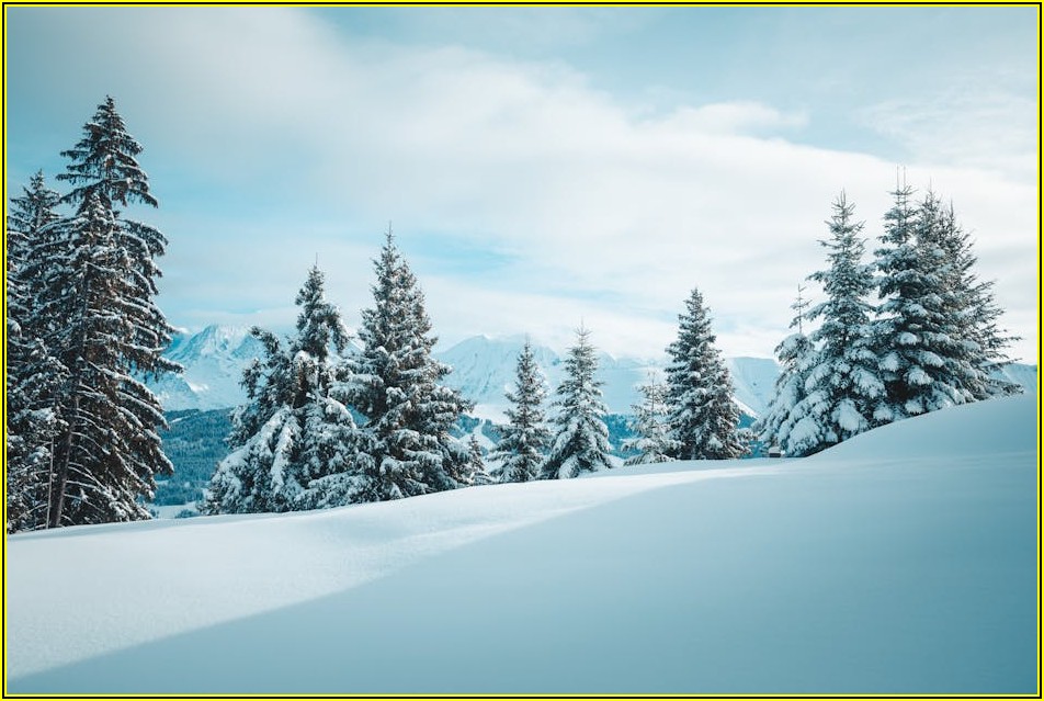 D2 비자 소지자 주목! 비자 변경 방법 총정리