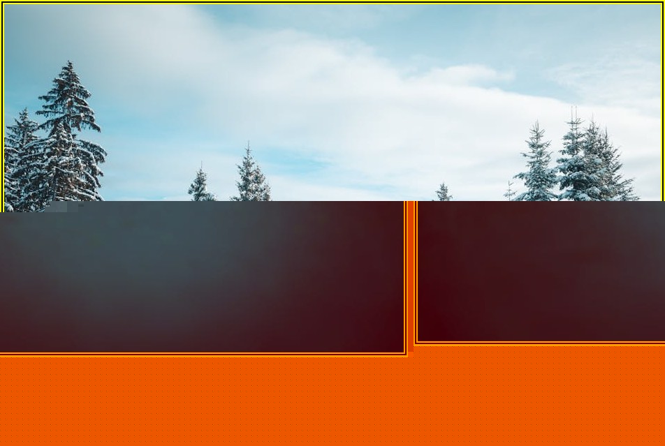 유학생 D2 비자, 다른 비자로 변경 성공 전략