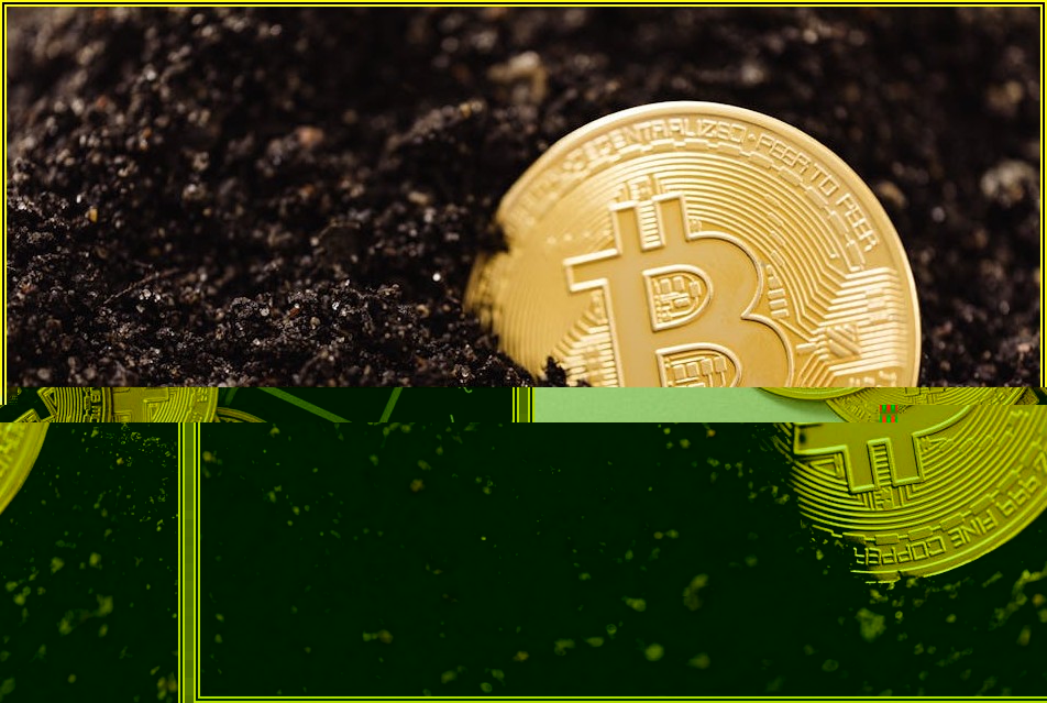 비트코인 투자: 나에게 맞는 성공 전략 찾기