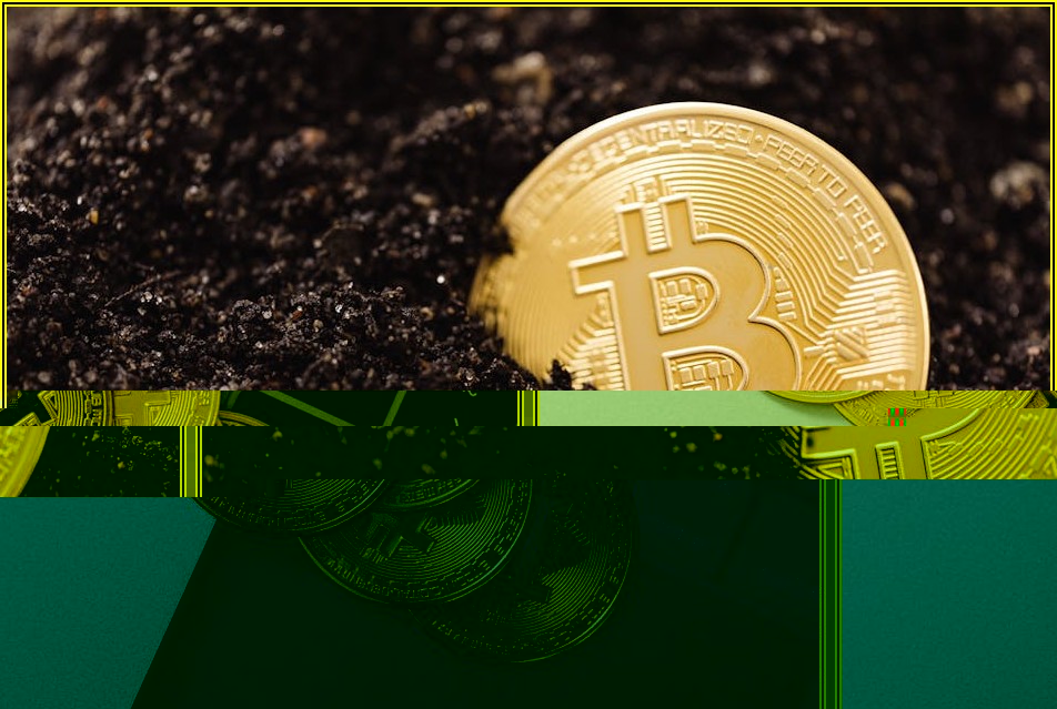 성공적인 비트코인 투자, 다양한 방법으로 시작하기