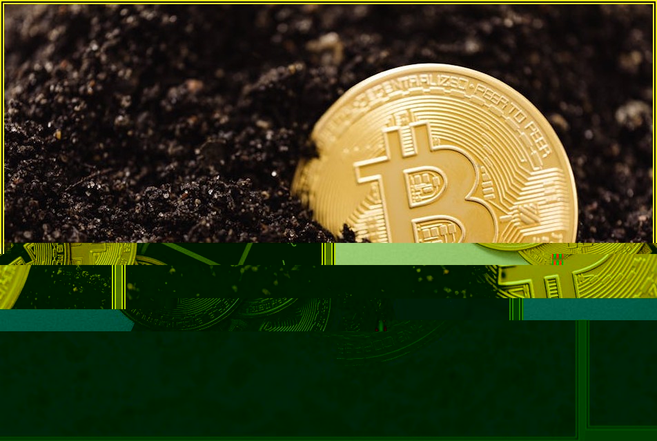 비트코인 투자, 어떤 방법이 나에게 최적일까?