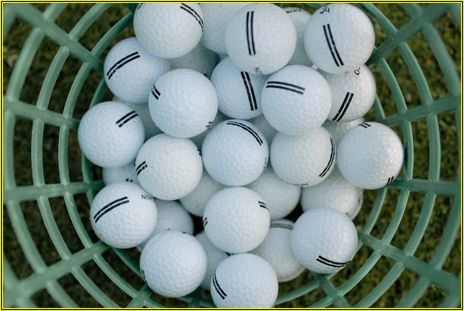 최고의 원형 스펀지 고르는 법: 가격대별 품질 비교