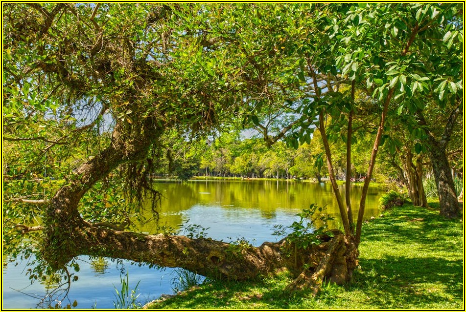 친환경 현수막, 기업의 지속 가능한 마케팅 전략