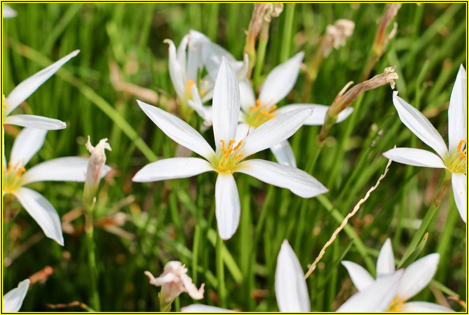 친환경 현수막, 기업의 지속 가능한 마케팅 전략