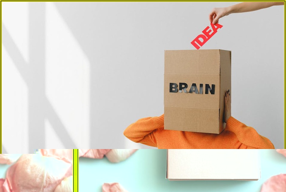 고객의 목소리, 건의함 분석과 피드백으로 실질적 변화 만들기