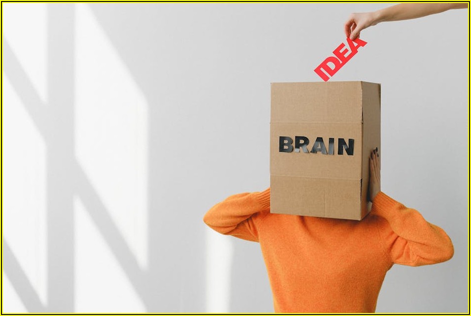 효과적인 건의함 활용법: 분석부터 피드백까지 완벽 가이드