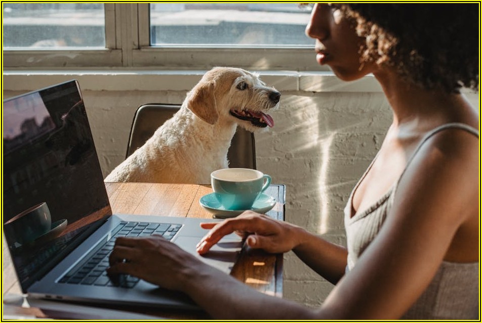 온라인 적성검사 완벽 분석: 나만의 길 찾기