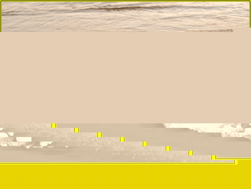 내 차에 맞는 CONTI 타이어 찾기: 종류별 장단점 가이드