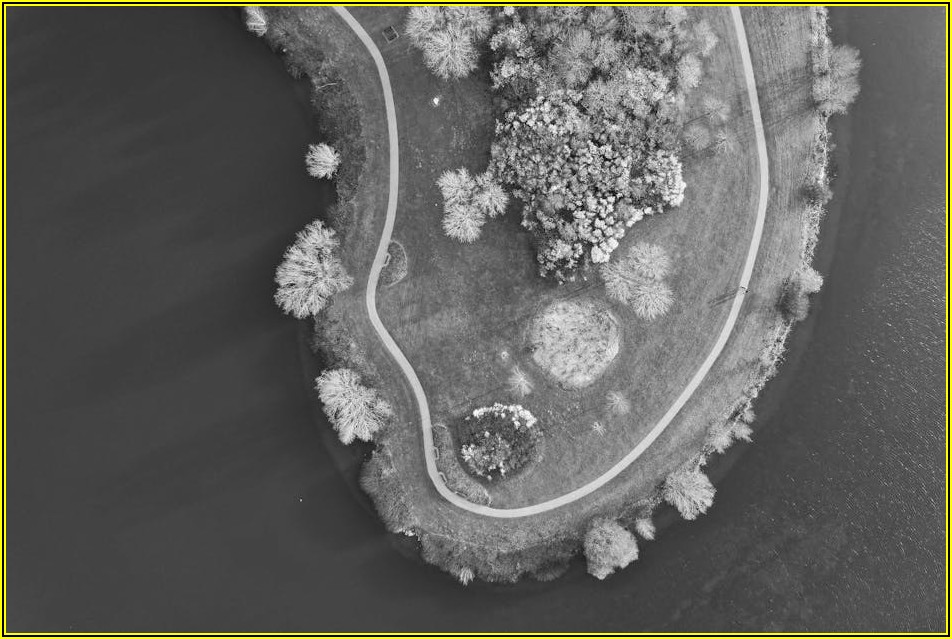 성능 UP! CONTI 타이어, 종류별 특징 따라 최적의 선택하기