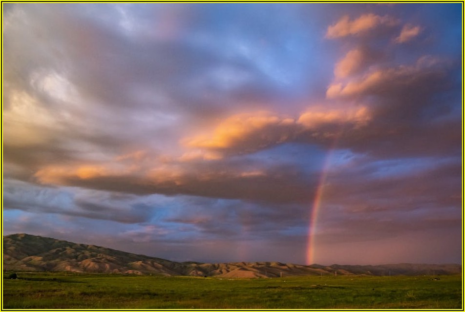로봇 테마주 레인보우로보틱스, 주가 전망 분석