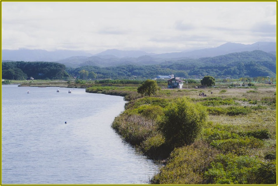 셀프 방수 실란트, 전문가처럼 시공하는 비법 공개