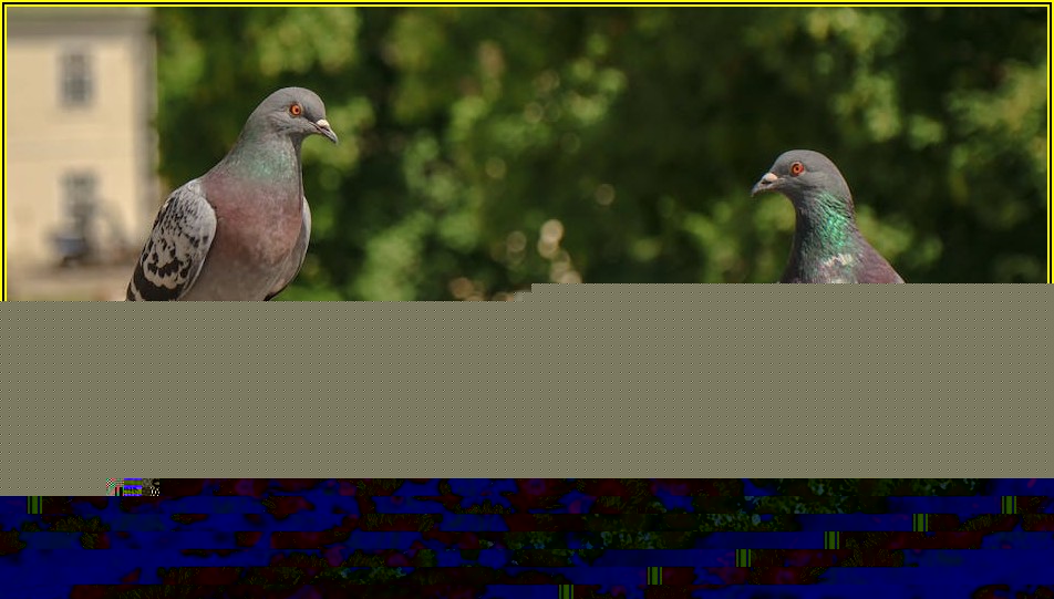 실내 방방, 놀이시설&프로그램: 즐거움과 배움 가득!