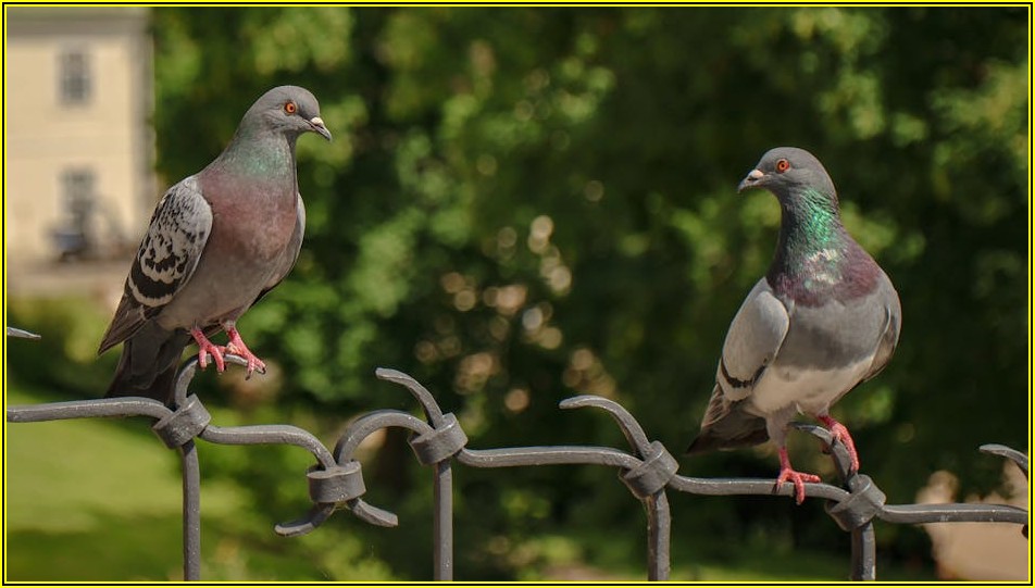 실내 방방, 우리 아이 맞춤형 놀이 천국 발견하기
