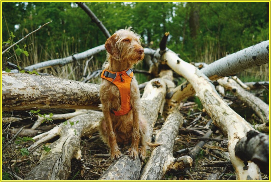 믿을 수 있는 캠핑장 매물 찾는 법, 전문가 조언