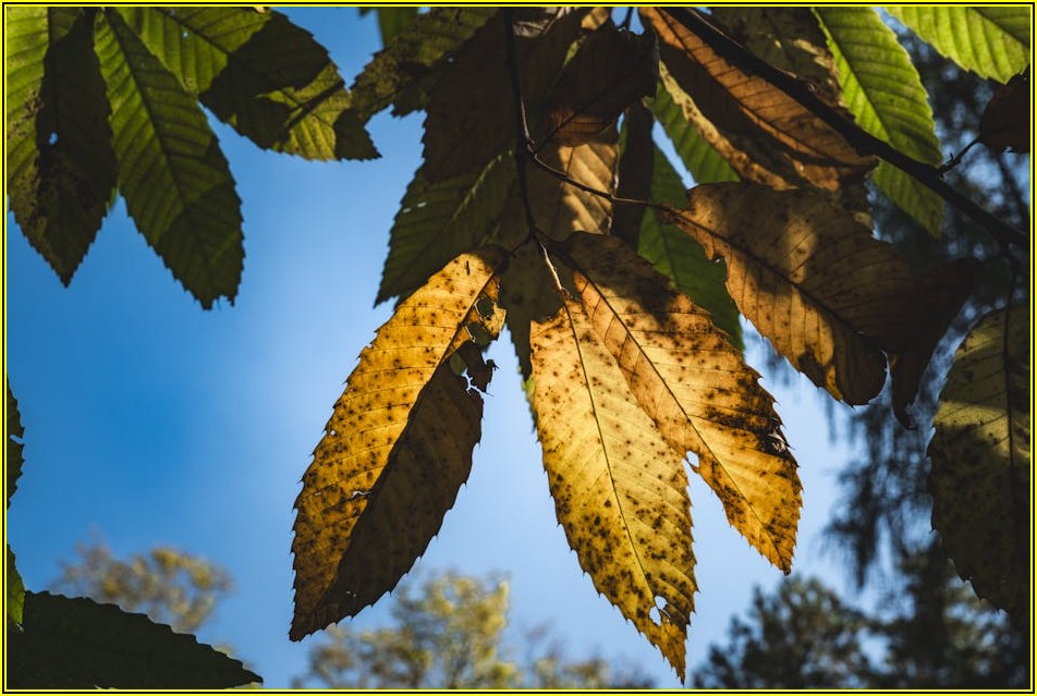 노랑 봉투, 무엇이든 물어보세요! Q&A 총정리