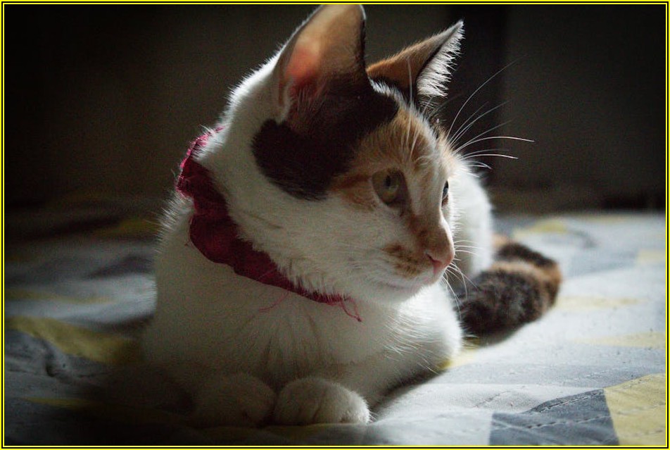 수영장 바닥 문제, 균열과 누수 없이 안전하게 관리하기