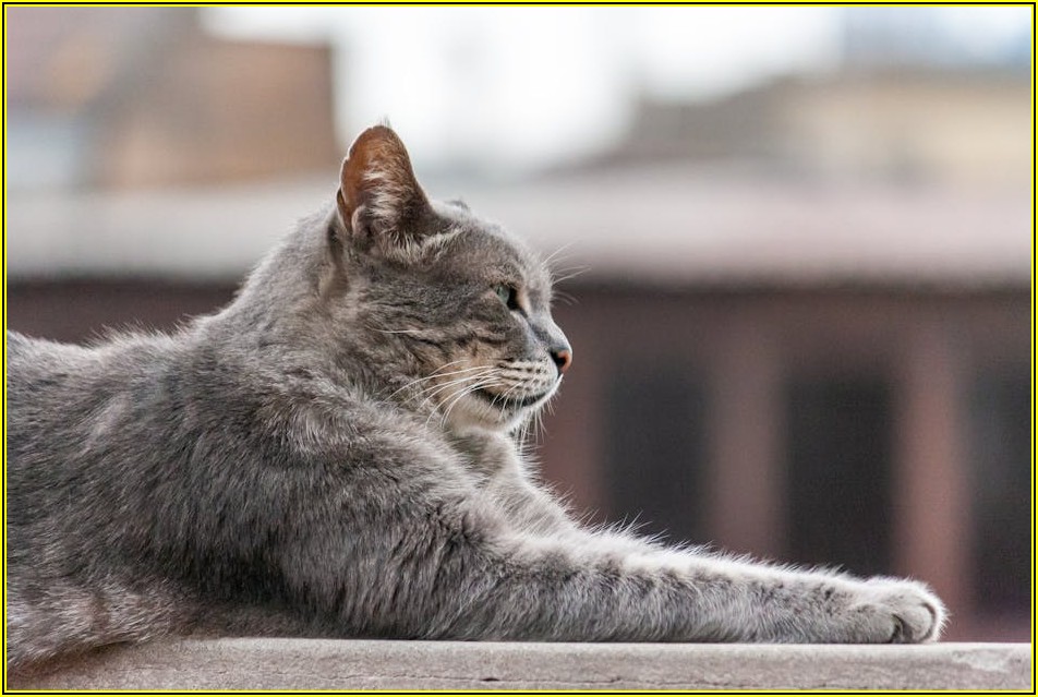 일상 속 가정폭력, 슬기로운 예방 및 대처법