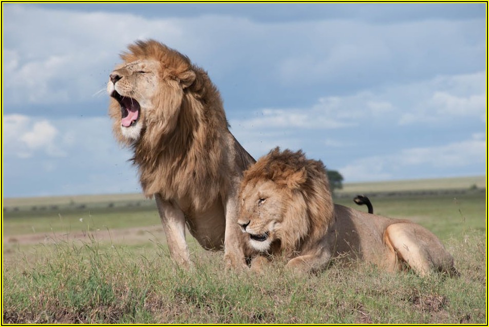 당신의 가능성을 펼칠 대기업 면접 준비 가이드