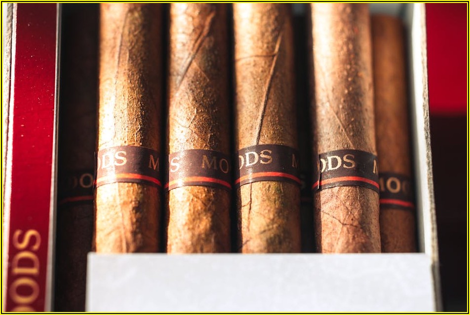 220V LED 바 구매 가이드: 실패 없는 선택 팁