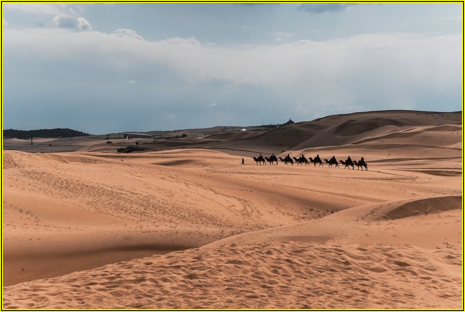중국 타오바오, 똑똑하게 쇼핑하는 시즌별 할인 꿀팁