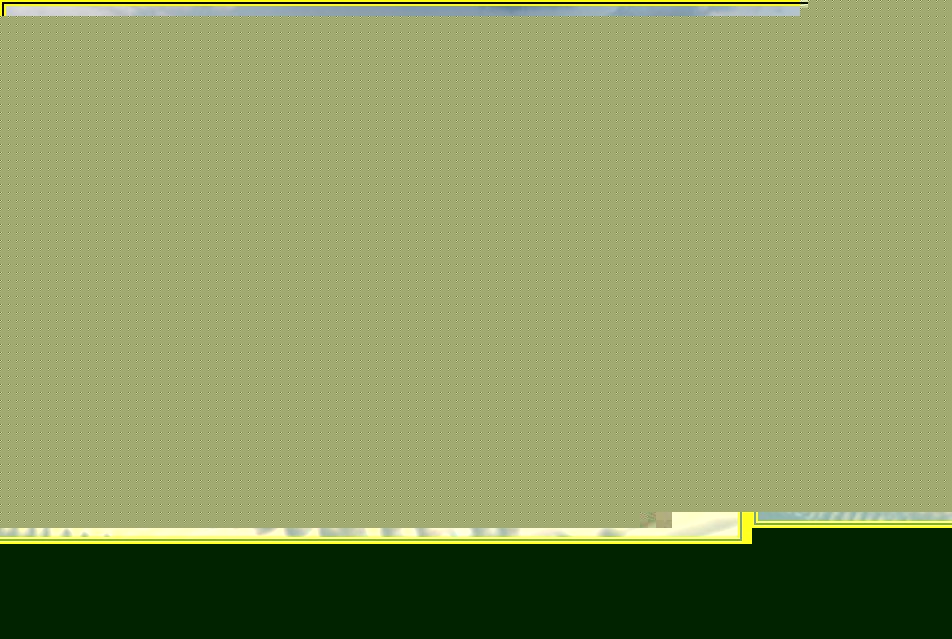 중국 직구 필수! 타오바오 시즌별 할인부터 쇼핑 팁까지