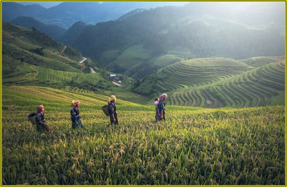 실패 없는 사진 자르기: 완벽 편집 팁 완벽 가이드