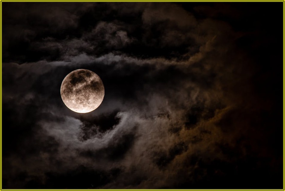 나만의 특별한 행사, 강남 공간 대여 완벽 가이드