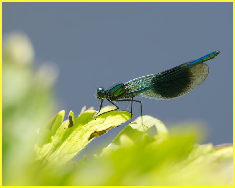 나에게 맞는 영국 유학! 학교, 도시 선택 성공 전략