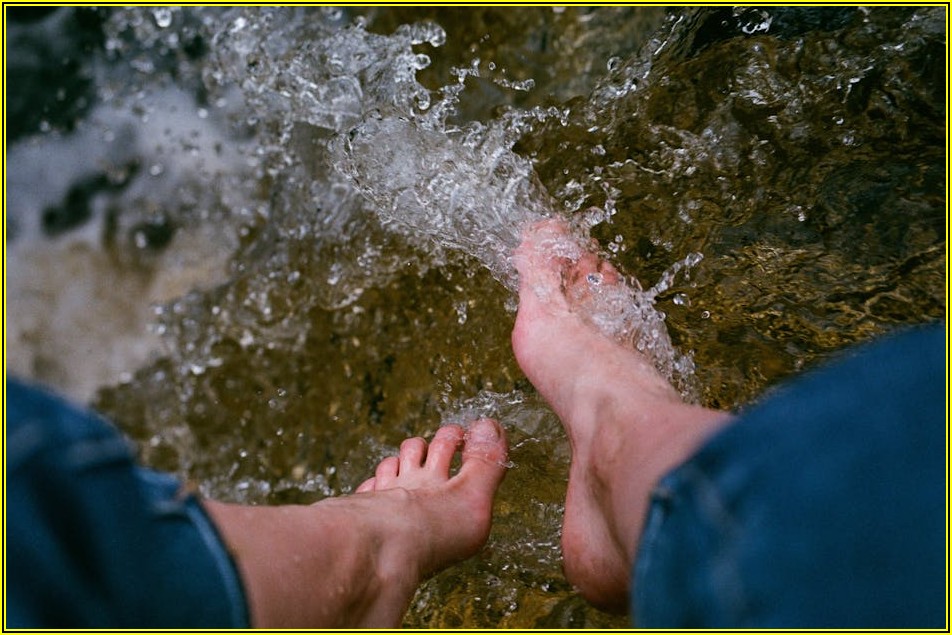 낡은 냉장고, 폐기물 스티커 없는 무료 수거 방법은?