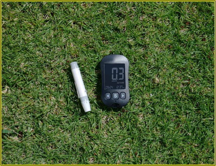 초등 영어 수준 파악, 레벨 테스트 유형별 학습법 공개