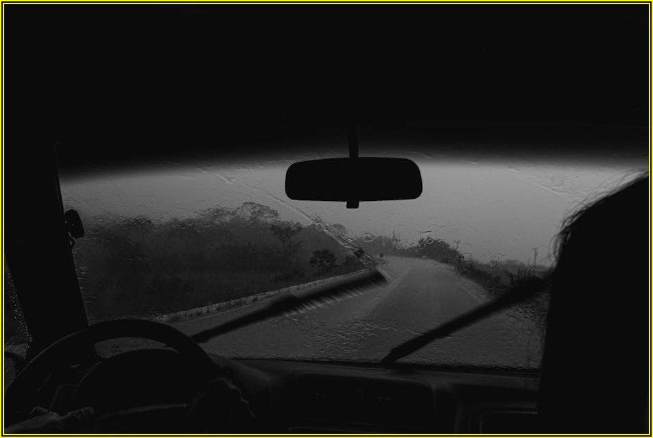 운전자보험 렌트카 특약, 필수 확인 사항 총정리