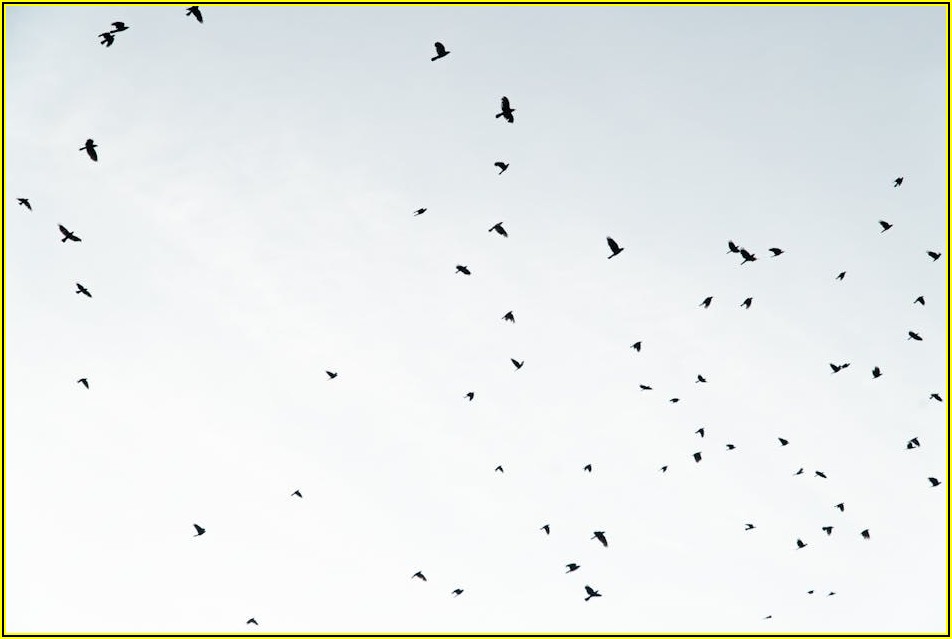 무료 변호사 활용법: 법률 조력, 비용 부담 없이 받으세요