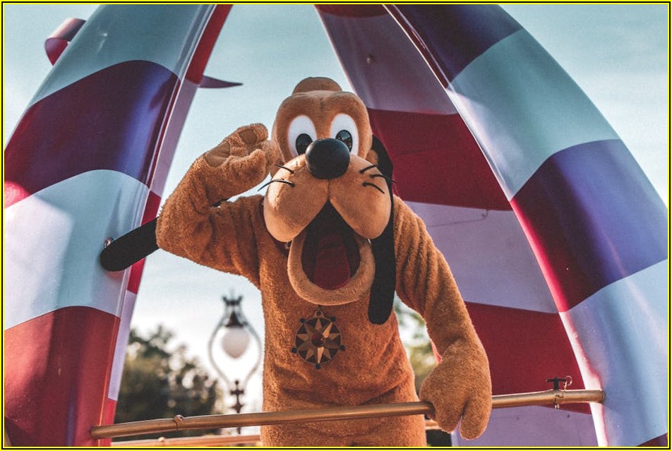 강아지 등록증 발급부터 갱신까지 완벽 가이드