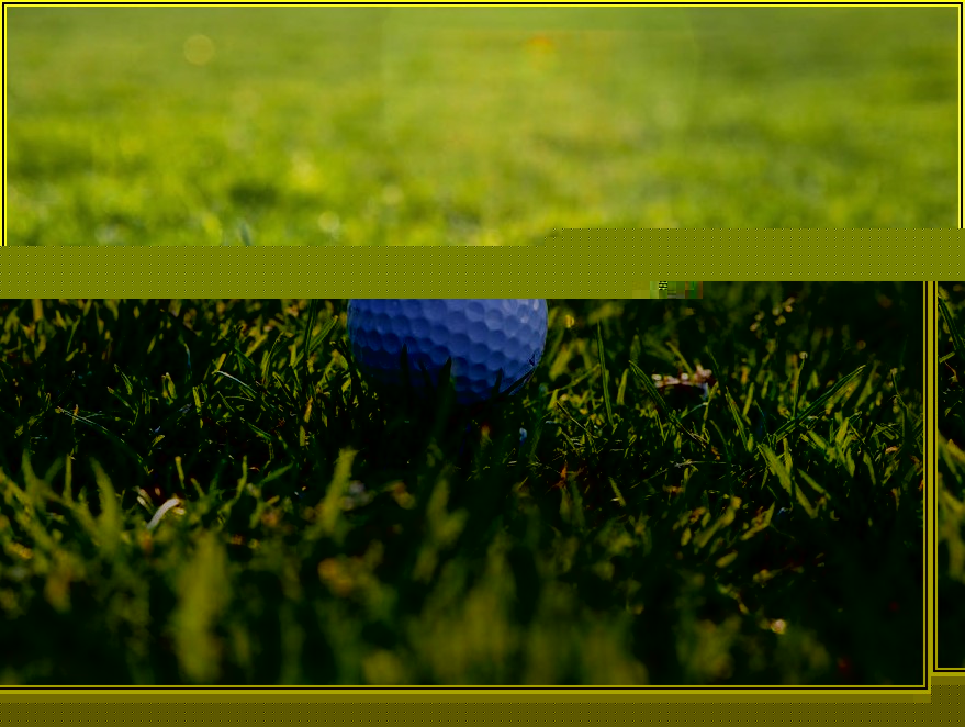 골프 초보 주목! 필수 용품 구매 완벽 정복