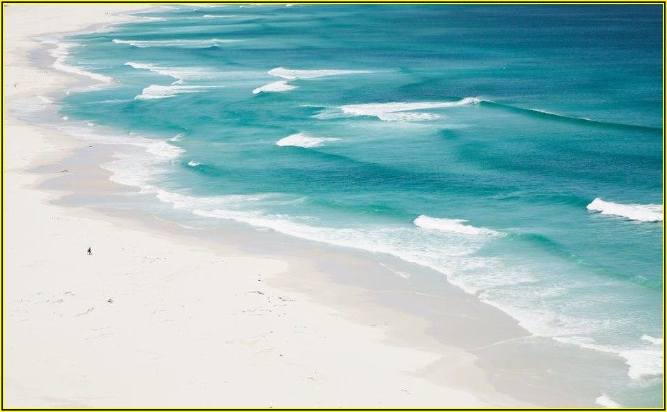 성공적인 투자를 위한 포맥스 재단 필수 가이드