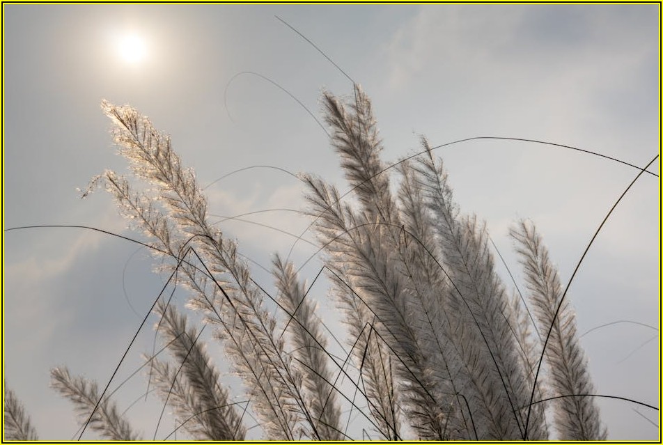 내 차를 위한 지벤트 썬팅, 시공 후 관리 A to Z