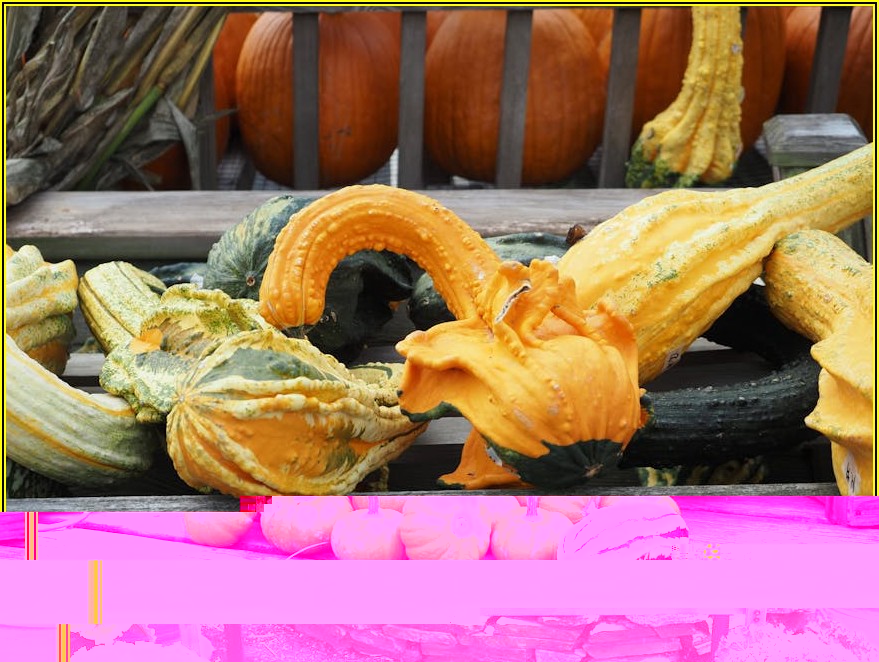 미국 변호사 커리어, 연봉 수입의 모든 것