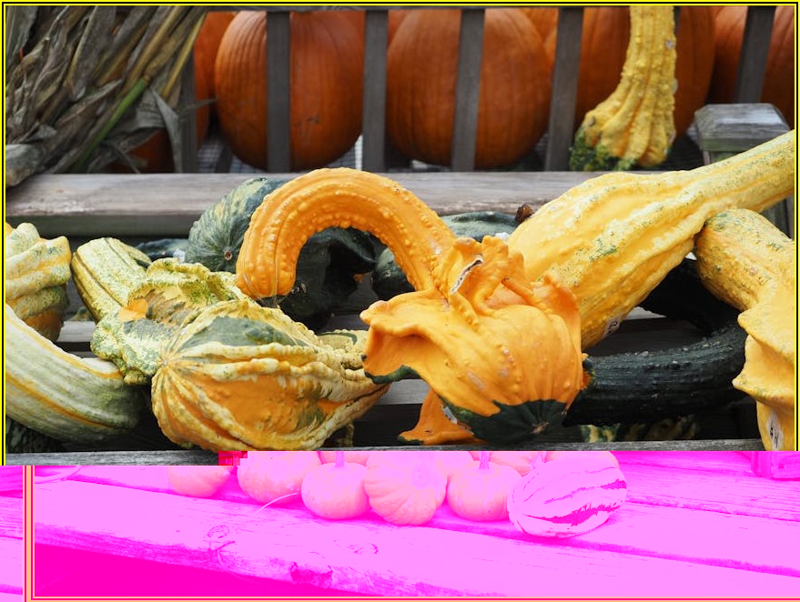 미국 변호사 되려면? 연봉과 함께 알아보는 현실