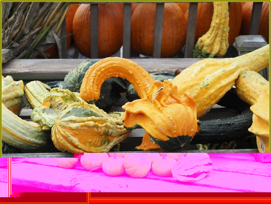 미국 변호사 연봉 공개, 기대와 현실 사이