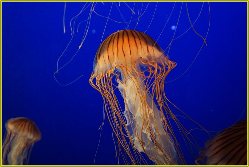 대구 포토샵 학원, 감각적인 디자이너로 거듭나기