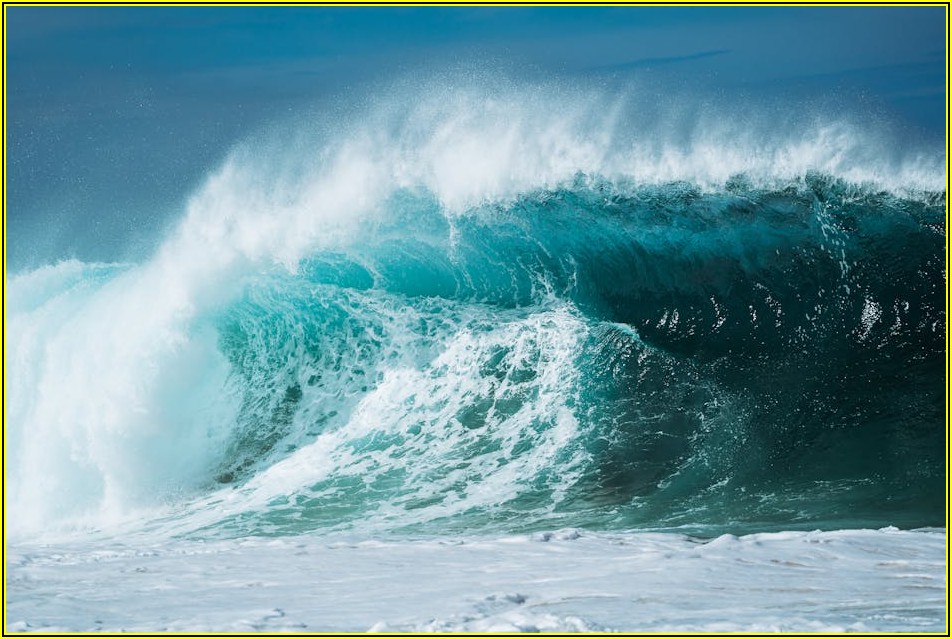 내 동력분무기에 딱 맞는 호스 찾기: 종류별 장단점 분석