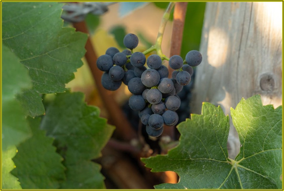 스테크 투자: 위험 관리 필수 가이드