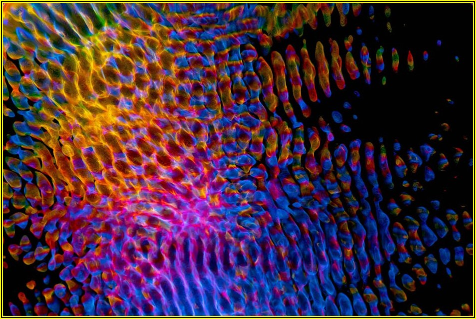 파동 가격 투자 핵심: 주식, 암호화폐, 선물 완벽 가이드