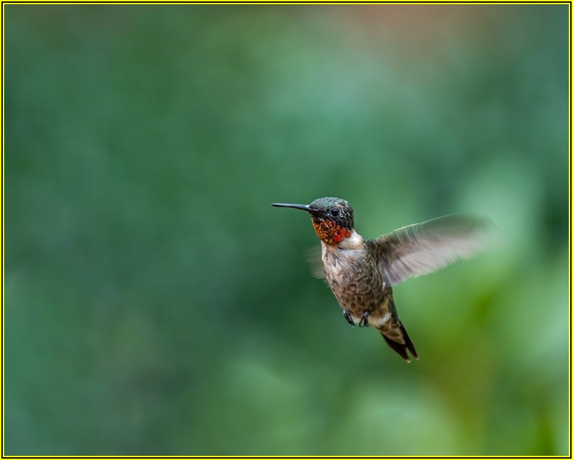 퀵 서비스 비용, 이것만 알면 바가지 안 쓴다