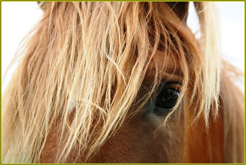 화재 안전 지키는 간이 스프링클러 설치 완벽 가이드