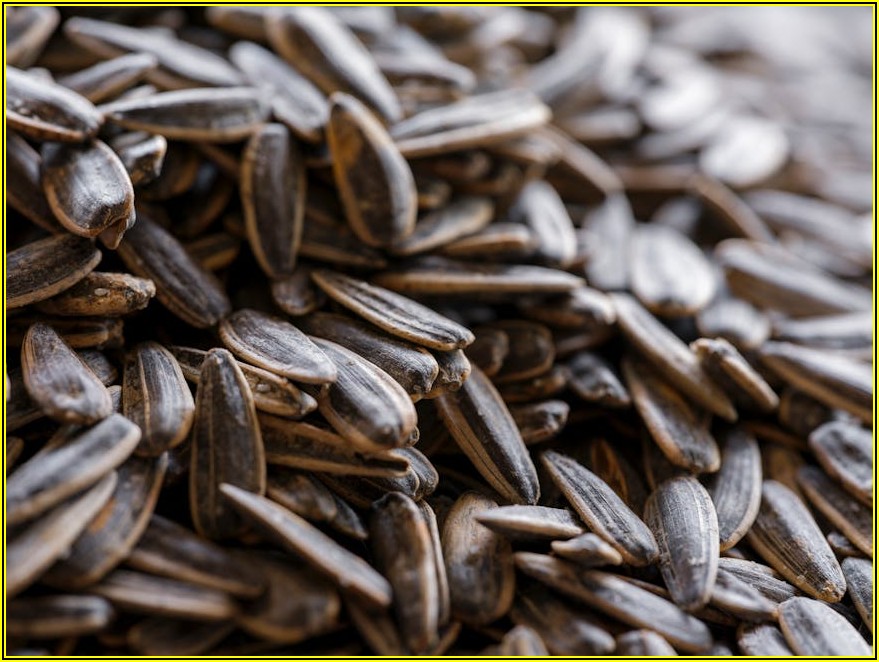 성공적인 오피스텔 매매, 이것만 알면 후회 없다