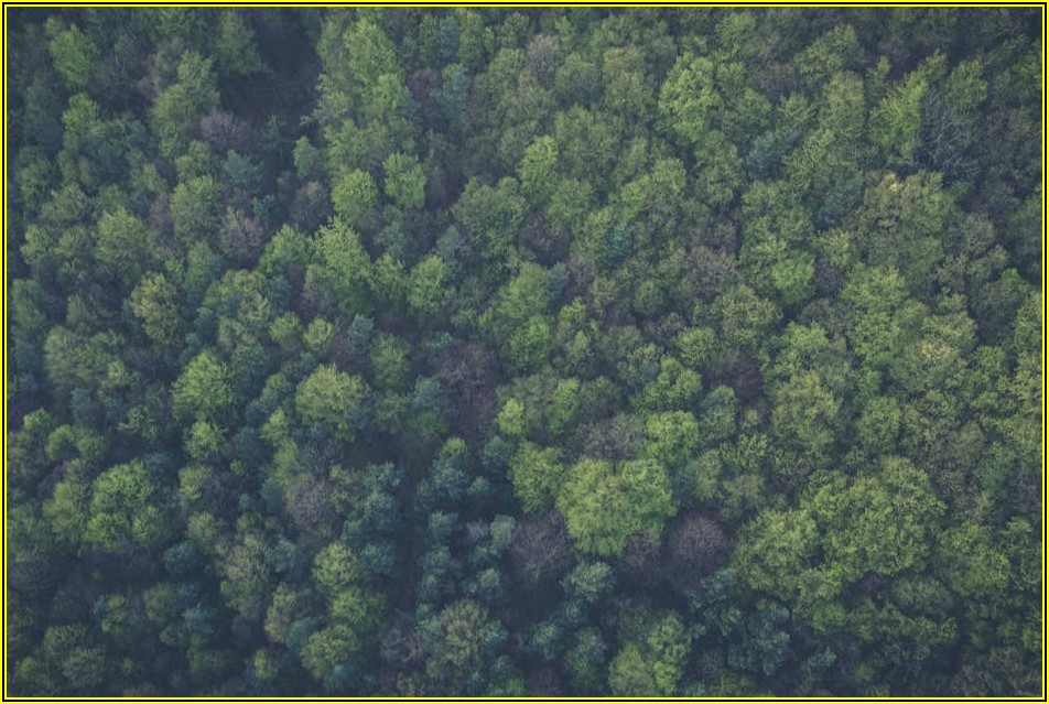 산소 포장기로 알아보는 신선 식품 보존의 모든 것