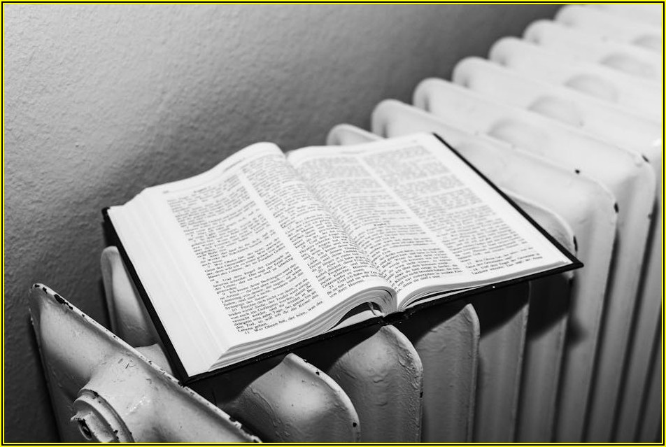 다온 폰트, 무료와 유료 비교 분석 가이드