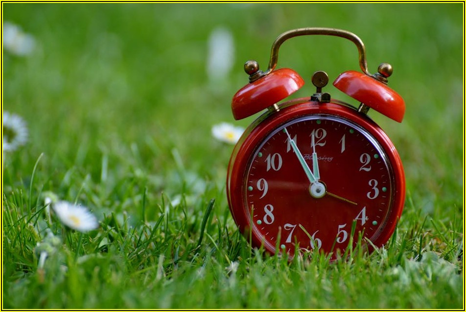 패피들의 필수템, 원형 가방 스타일링 완벽 분석